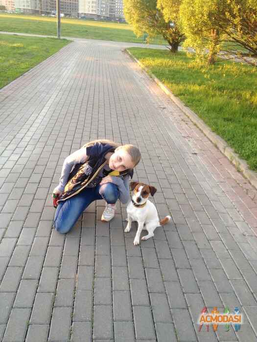 Дарья Сергеевна Тихонова фото №951954. Загружено 09 Ноября 2015