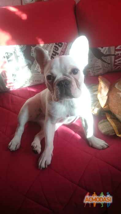 Татьяна @ Эля фото №1517547. Загружено 28 Сентября 2019