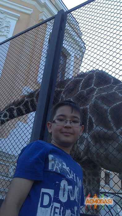 Ильдар Ринатович Камалов фото №832194. Загружено 09 Марта 2015