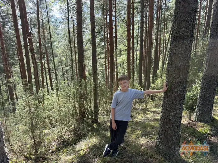 Леонид  Малимон фото №1939020. Загружено 18 Октября 2025