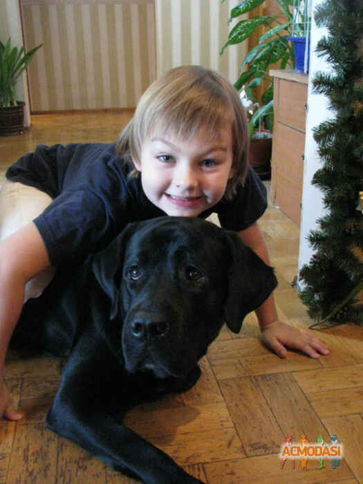 Машкин Андрей Станиславович фото №144124. Загружено 05 Февраля 2012