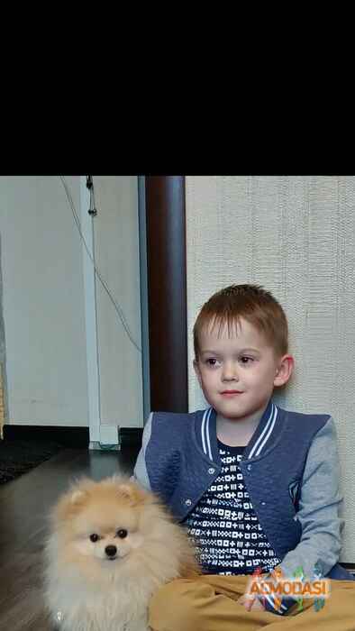 Кирилл  Денисов фото №1446983. Загружено 14 Апреля 2019