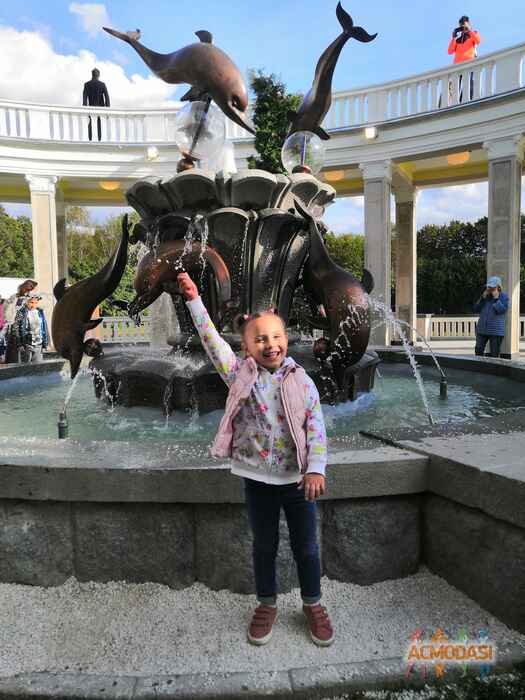 Дарья  Мешалкина фото №1657428. Загружено 17 Ноября 2020