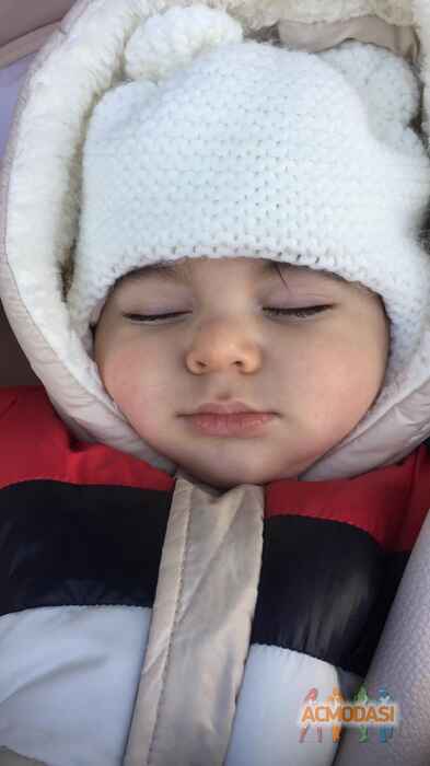 Муслим  Гурбанов фото №1672423. Загружено 10 Января 2021