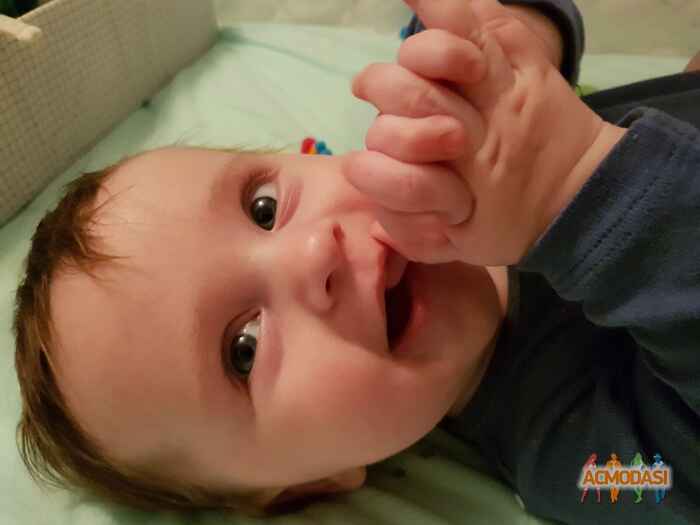 Илья   фото №1537030. Загружено 08 Ноября 2019