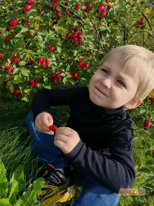 Добрыня Русский Богатырь Актёр кино, модель фото №1940291. Загружено 03 Ноября 2025