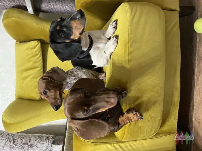 Наталья  Маркова фото №1871426. Загружено 19 Октября 2023