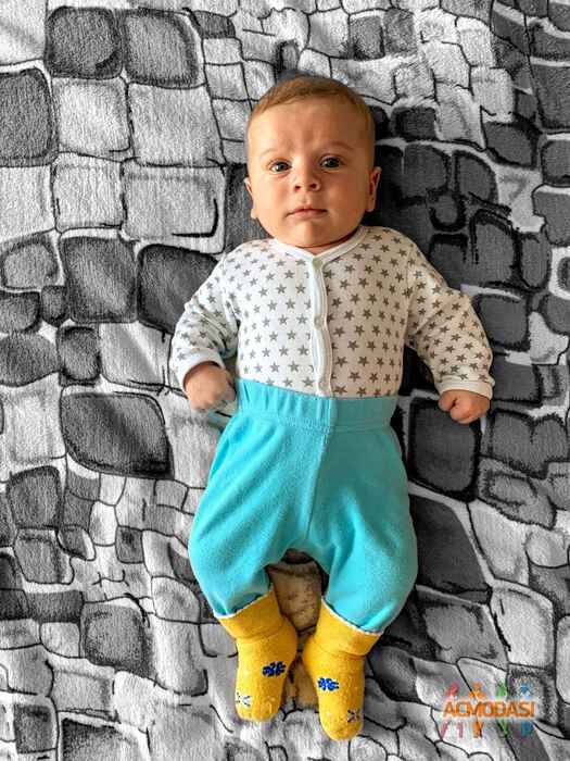 Марк  Шарангия фото №1447169. Загружено 14 Апреля 2019