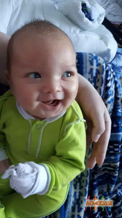 Данила Никитич Палехов фото №1472176. Загружено 11 Июня 2019