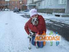 Яна Руслановна Счастливая фото №612966. Загружено 12 Марта 2014