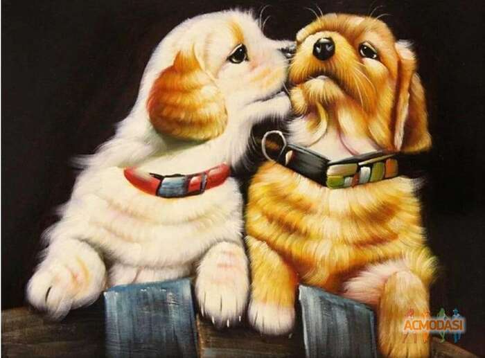 Crceef  Freefer фото №1859890. Загружено 05 Июля 2023