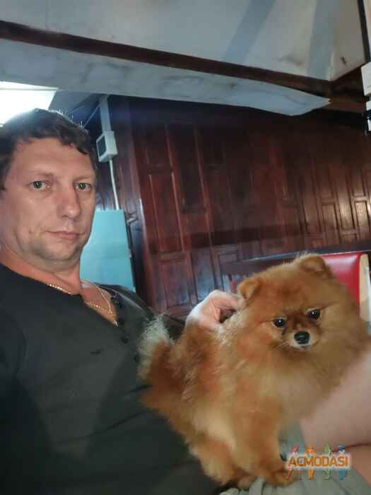Алексей Владимирович Алешин фото №1656165. Загружено 12 Ноября 2020