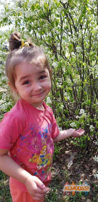 ВАСИЛИСА Матвеевна Кушнерова фото №1522016. Загружено 07 Октября 2019