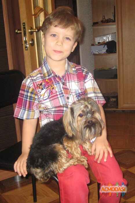 Леон   фото №830155. Загружено 04 Марта 2015