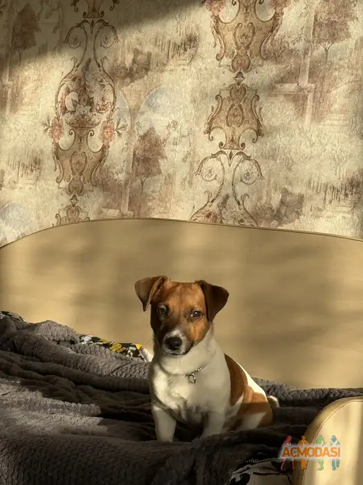 Ирина  Бочковская фото №1945543. Загружено 16 Января 2026