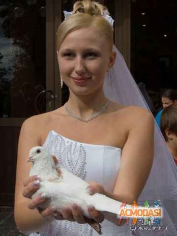 Елена Николаевна Прохоренкова фото №926548. Загружено 25 Сентября 2015