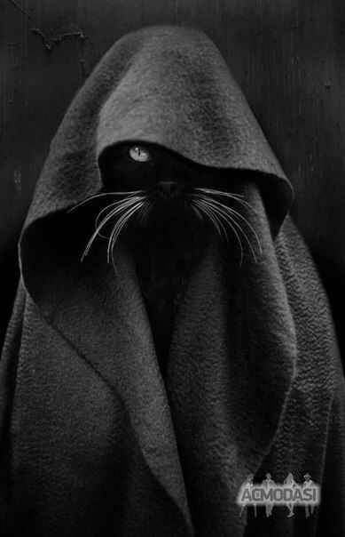 q  q фото №935007. Загружено 11 Октября 2015