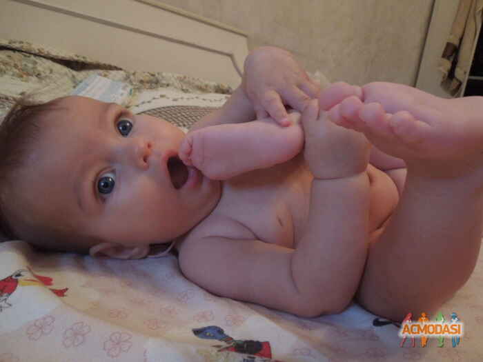 Ярослава Анатольевна Николайчук фото №498667. Загружено 26 Сентября 2013