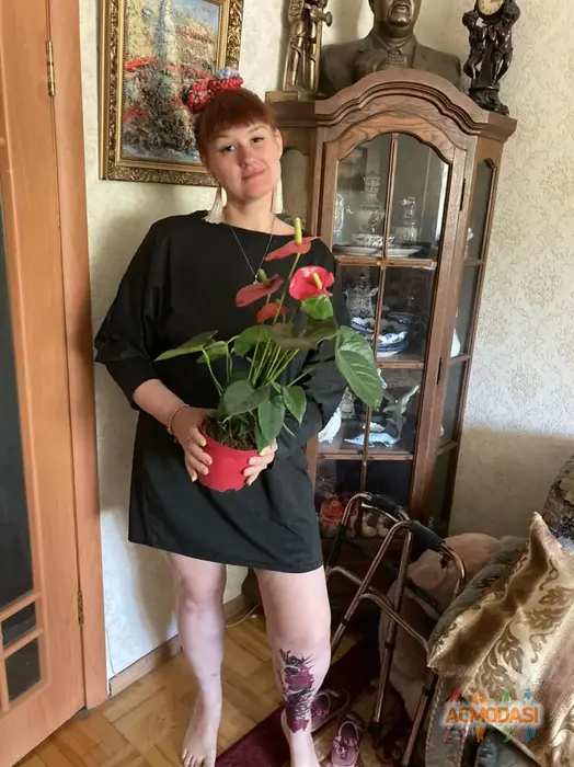Сопченко Анастасия Андреевна фото №1906896. Загружено 24 Сентября 2024