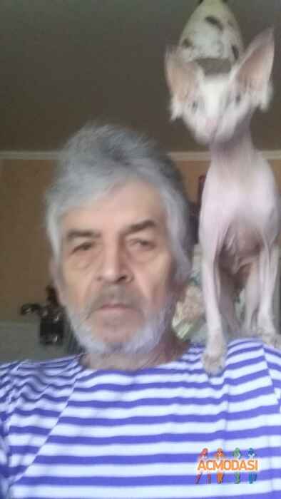 Валерий Николаевич Мальков фото №1357388. Загружено 11 Августа 2018