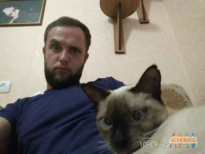 Александр   фото №1381559. Загружено 10 Октября 2018