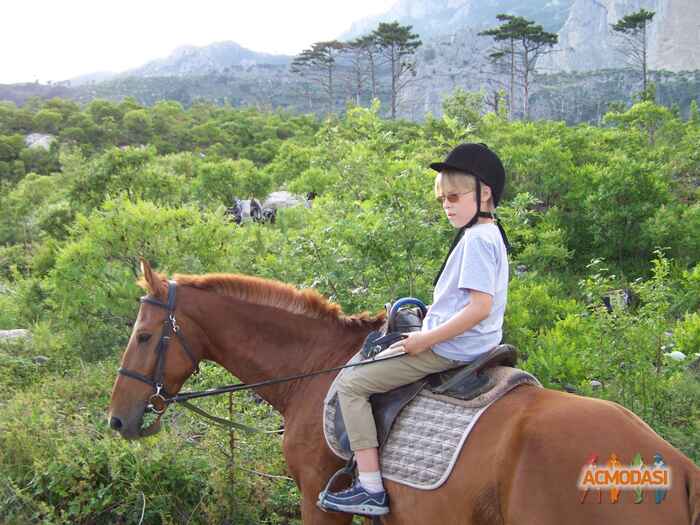 Михаил Михайлович Рудых фото №1132372. Загружено 10 Января 2017