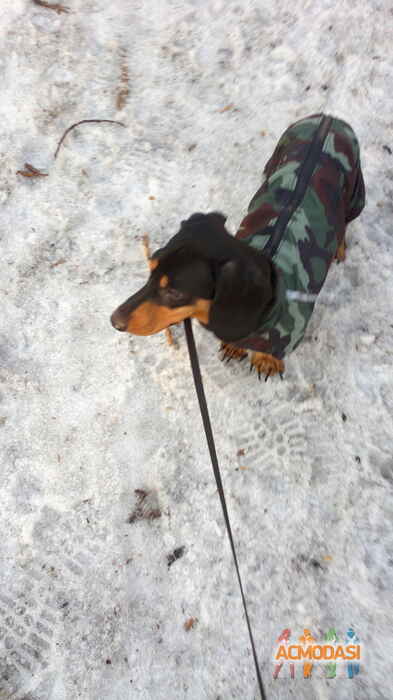 Ирина  Викторовна фото №644461. Загружено 29 Апреля 2014