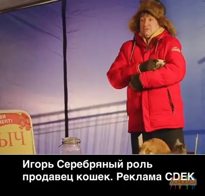 Игорь  Серебряный фото №1927168. Загружено 20 Мая 2025