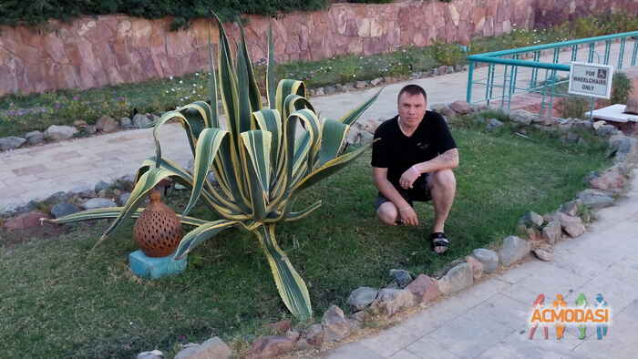 Алексей Александровичь Ашмарин фото №1476510. Загружено 24 Июня 2019