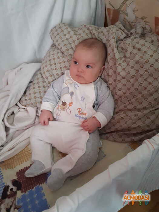 Данила Никитич Палехов фото №1472177. Загружено 11 Июня 2019