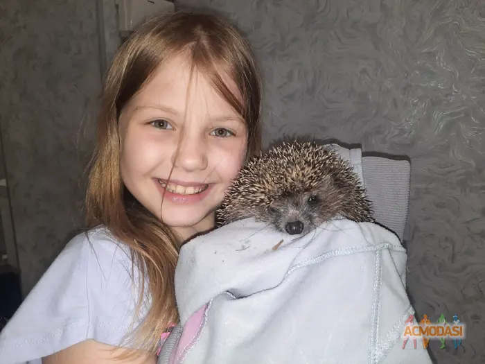 Анастасия  Кузнецова фото №1862618. Загружено 30 Июля 2023