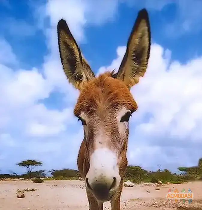 Пашка  Лютый фото №1949426. Загружено 21 Марта 2026