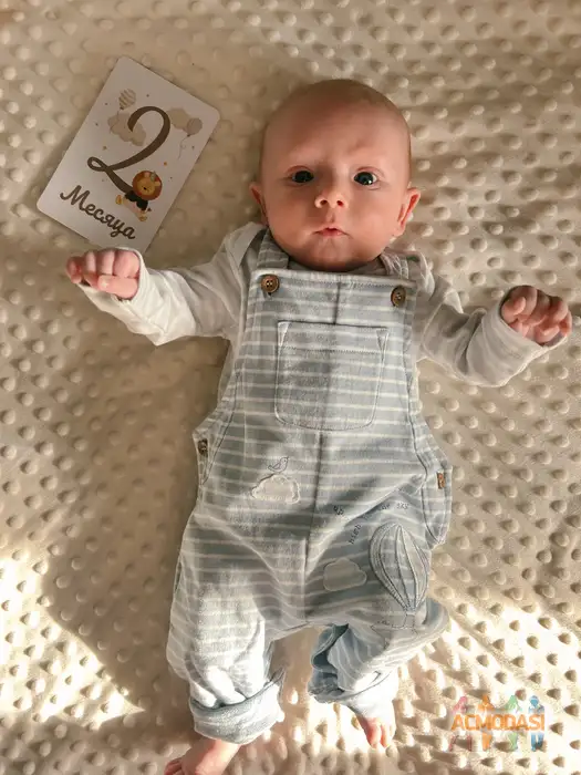 Савелий  Петрусь фото №1952306. Загружено 14 Мая 2026