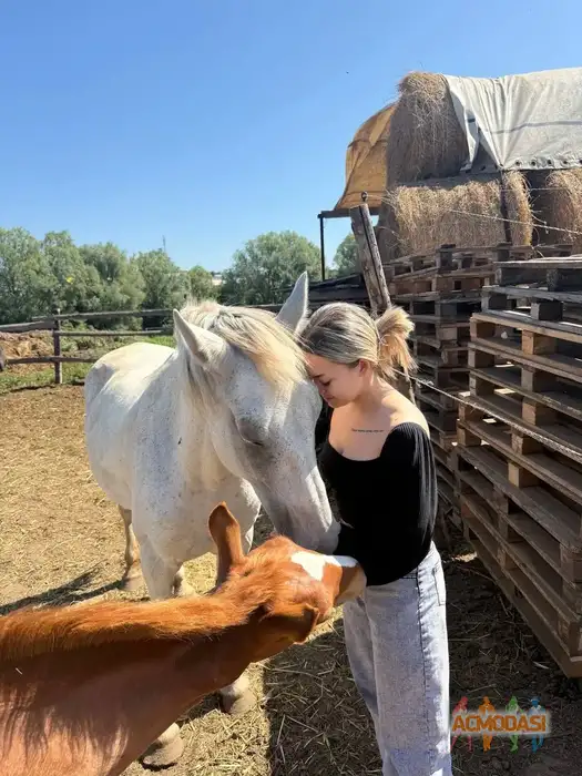 Александра Вадимовна Чугунова фото №1936781. Загружено 21 Сентября 2025