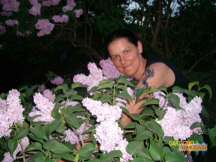 Елена Викторовна Боронина фото №558626. Загружено 26 Декабря 2013