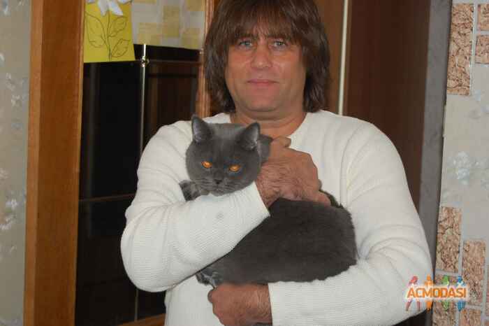 Геннадий Александрович Квасов фото №1117798. Загружено 01 Декабря 2016