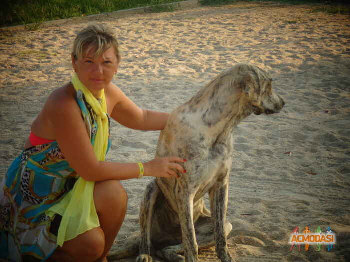 Евгения Станиславовна Лисовая фото №1244505. Загружено 31 Октября 2017