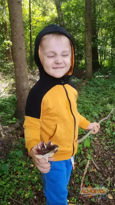 Добрыня Русский Богатырь Актёр кино, модель фото №1940279. Загружено 03 Ноября 2025