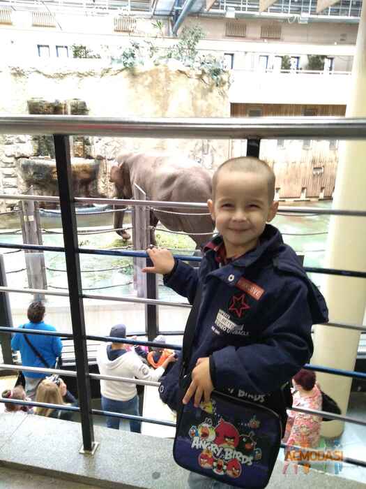 Валентина  Емельянова фото №1664678. Загружено 10 Декабря 2020