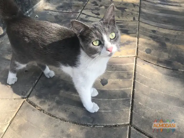 Бетельгейзе   фото №1938569. Загружено 13 Октября 2025