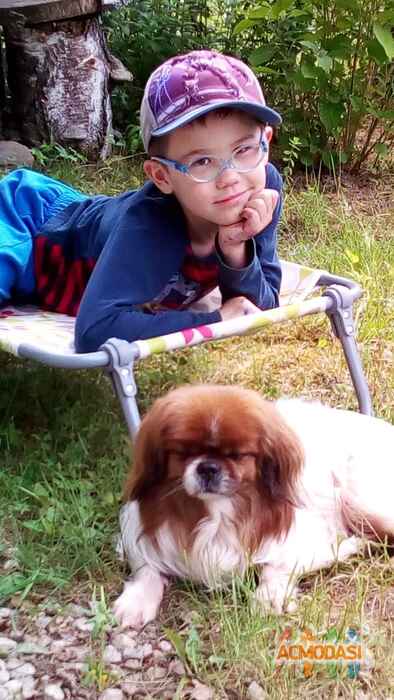 Александр Евгеньевич Старостин фото №1469245. Загружено 03 Июня 2019