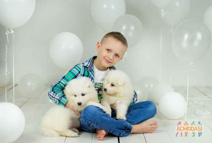 Даниил  Крепких фото №1677347. Загружено 25 Января 2021