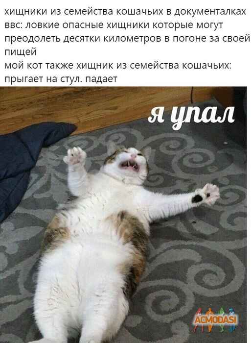 Валентина   фото №1522934. Загружено 09 Октября 2019