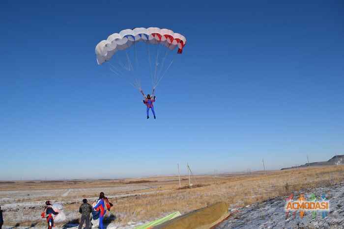 Надежда Владиславовна Брауэр фото №1122993. Загружено 12 Декабря 2016