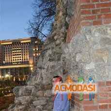 Алексей Андреевич Щетинин фото №995723. Загружено 11 Февраля 2016