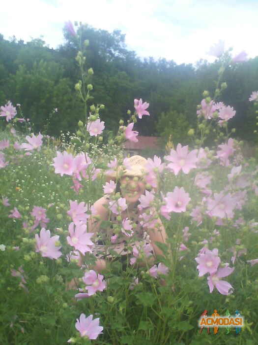 Алина Юрьевна Чеботарева фото №942012. Загружено 20 Октября 2015