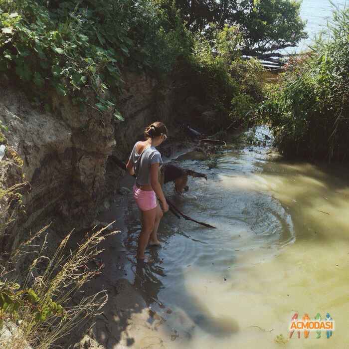 Лолита Алексеевна Зелёная фото №893331. Загружено 26 Июля 2015