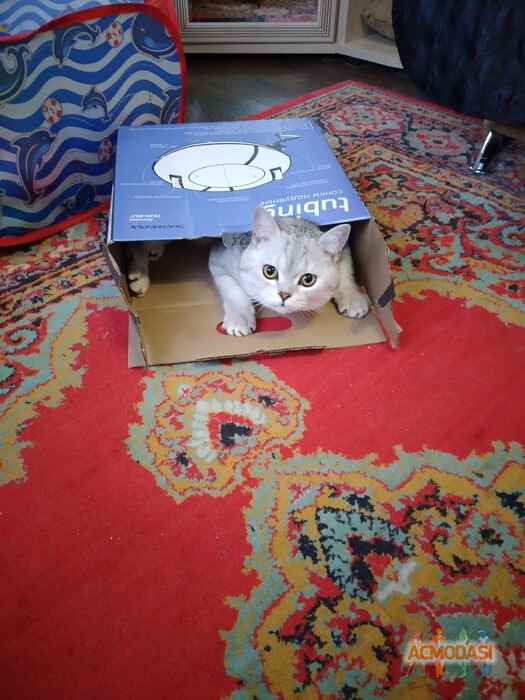 Ирина  Корнеева фото №1700561. Загружено 19 Апреля 2021