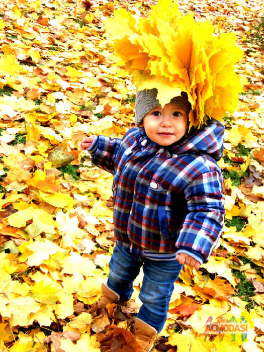 Дмитрий Витальевич Ганенко фото №610667. Загружено 08 Марта 2014