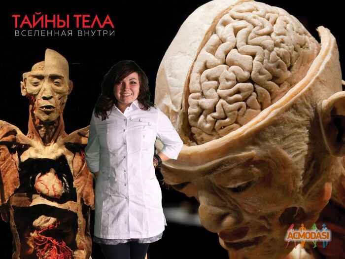 Лидия  Фролова фото №826840. Загружено 25 Февраля 2015